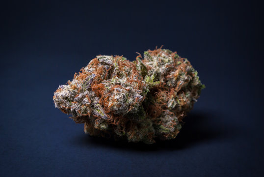 Cannabis Nug - Strain: Blue Widow