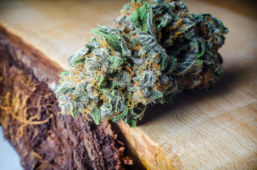 Cannabis Nugs - Strain: Electric Cherry Kola