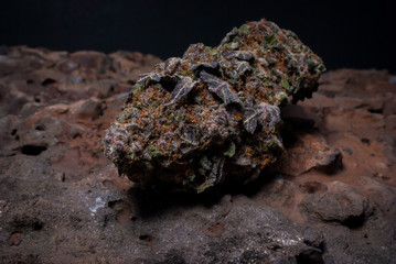 Cannabis Nugs - Strain: Electric Cherry Kola