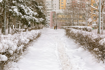Winter city after a snowfall