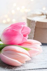 Pink tulip flower, lights