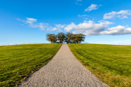 Peaceful and beautiful landscape view of a gravel walkway up a grassy hill with a group of trees against blue cloudy sky.
