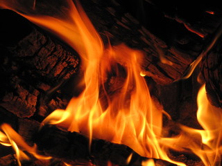 beautiful fire