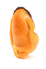 One mussel without shell isolated on white background