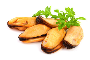 mussel with parsley leaf isolated on white background