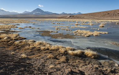 Active volcano Putana (also known as Jorqencal or Machuca) near Vado Rio Putana in Atacama Desert, Chile