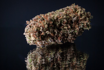 Cannabis Nug - Strain: Koala