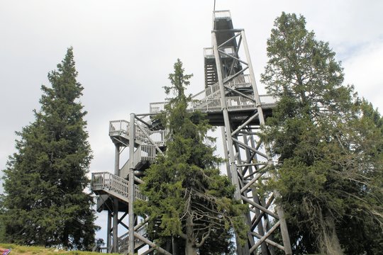 vertical wooden architecture