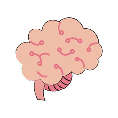 Human brain isolated icon vector illustration graphic design