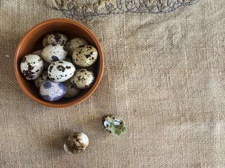 Quail eggs a