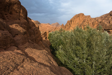 Rocky landscape at the top of Dadas Gorge in Morocco, Africa