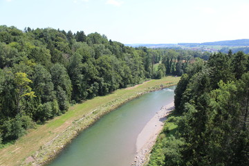 Fototapeta na wymiar Thur Fluss Auen Landschaft Grün Wald