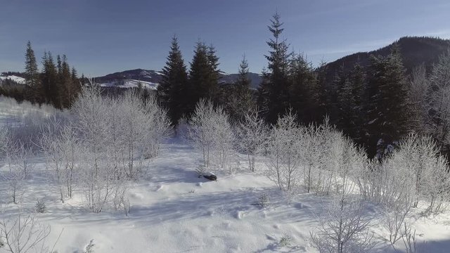 fly over snow winter landscape. aerial