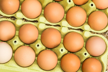 Freerange fresh raw eggs in recycled paper egg cartons or on the straw