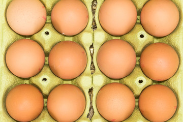 Freerange fresh raw eggs in recycled paper egg cartons or on the straw
