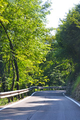 Winding road lined with trees in the mountains on the Strada della Forra, Lake Garda, Italy