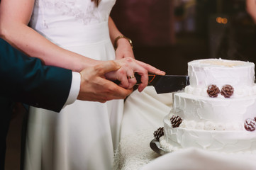 tradition, young couple cutting wedding cake