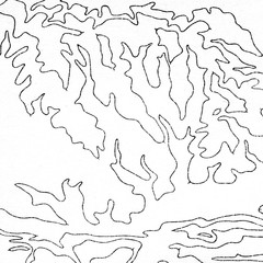 Vintage contour mapping. Natural printing illustrations of maps.