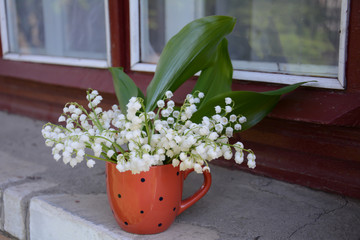 Lilly of valley in red cup with dark dots on red window