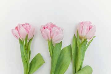 Bouquet of pink tulips over shabby white wooden table. Spring greeting card happy mother day copy space