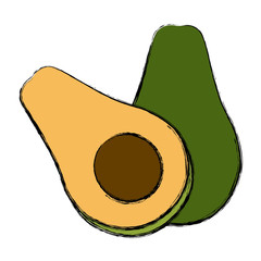 Avocado half cut icon vector illustration graphic design