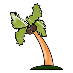 Palm tree isolated icon vector illustration graphic design