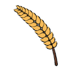 Wheat food symbol icon vector illustration graphic design