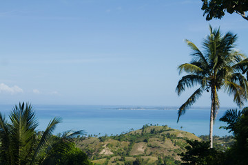 Fototapeta na wymiar palm tree with carribean sea background