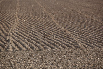 Naklejka premium Plowed soil
