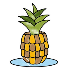 Pineapple sweet fruit icon vector illustration graphic design