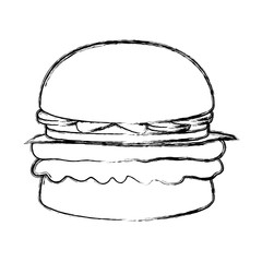 burger vector illustration