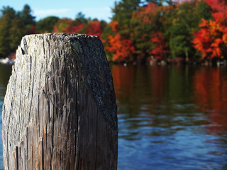 Peak Foliage in New Hampshire up at the lake gives the region the most colorful characteristics of...