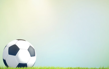 soccer football ball at green grass meadow blades of grass 3d rendering