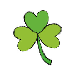 clover vector illustration