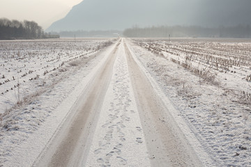 Road in winter fields
