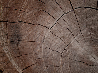Fototapeta premium Wood texture with natural.
