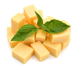 piece of cheese isolated on a white background
