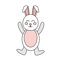 rabbit or bunny icon image vector illustration design 