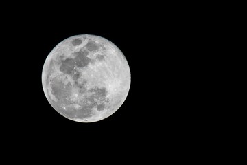 Obraz premium Large Moon