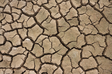 Dry soil texture background