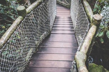 Naklejka premium wooden walkway, wooden footpath in forest landscape
