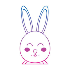 Obraz premium rabbit or bunny icon image vector illustration design blue to purple line