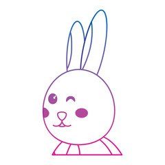 rabbit or bunny wink icon image vector illustration design  blue to purple line