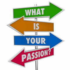 What Is Your Passion Question Arrow Signs 3d Illustration