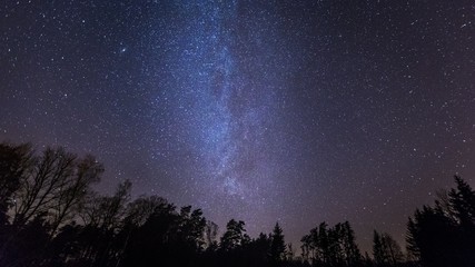 Fototapeta na wymiar Beautiful night sky with Milky Way