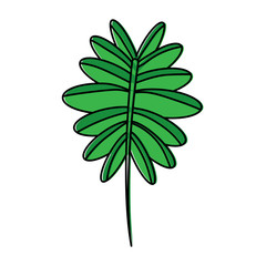 plant leaf icon image vector illustration design 