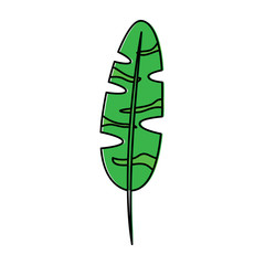 plant leaf icon image vector illustration design 