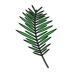 plant leaf icon image vector illustration design 