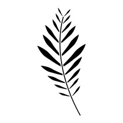 Obraz premium plant leaf icon image vector illustration design black and white