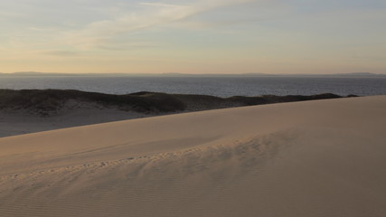 Dune seaside landscape